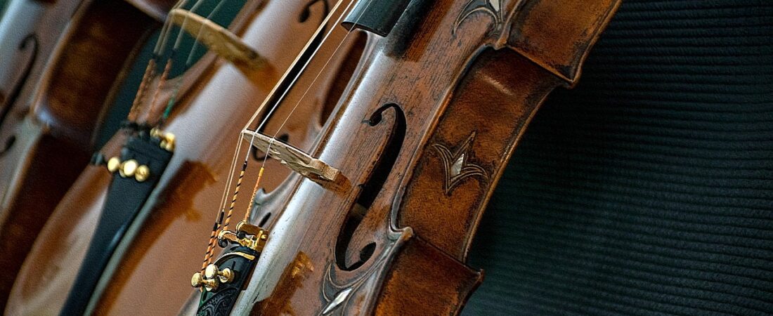 Essential Guide to Choosing the Right Violin