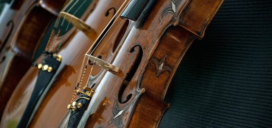 Essential Guide to Choosing the Right Violin