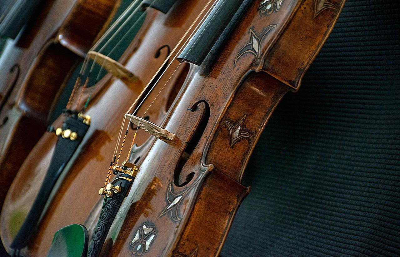 Essential Guide to Choosing the Right Violin