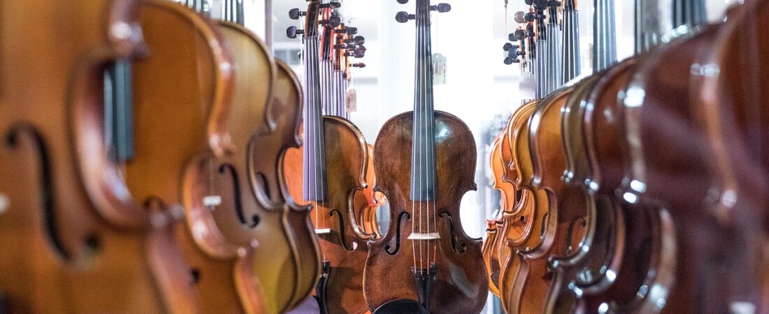 Understanding the Essentials of Violins and Violas