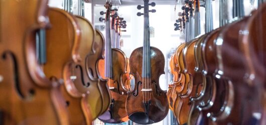 Understanding the Essentials of Violins and Violas