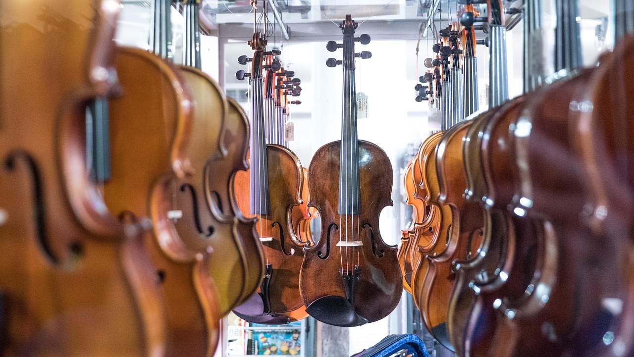 Understanding the Essentials of Violins and Violas